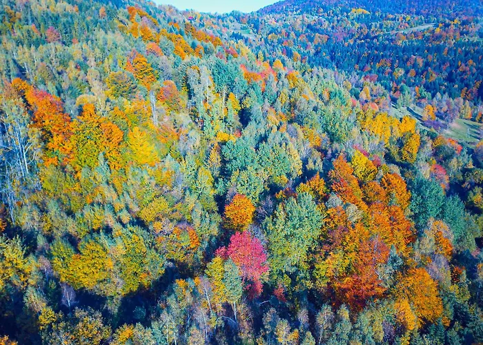 Obok Korbielowa וילה Krzyzowki